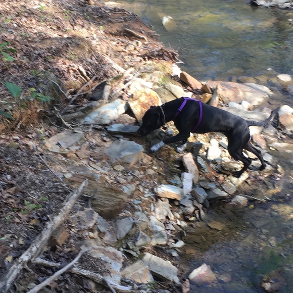 Meet your Posher, Alliallison - Picture 1 of 1